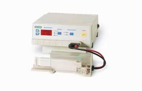 伯樂Bio-Rad MicroPulser電穿孔儀